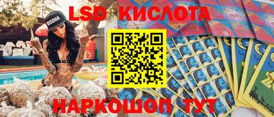 индика Ирбит