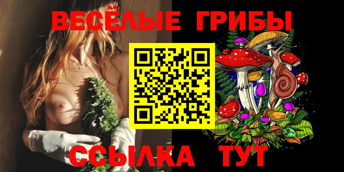 Псилоцибиновые грибы MAGIC MUSHROOMS Ялта